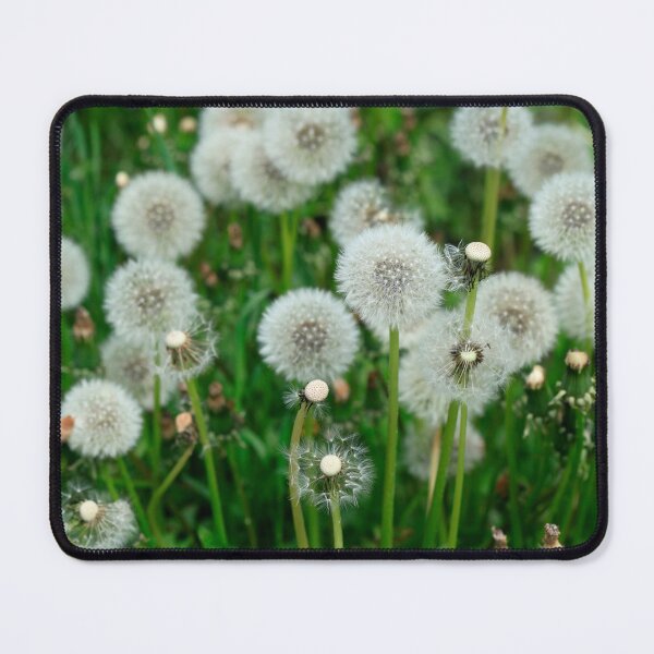 Item preview, Fluffy dandelions in field designed and sold by olena2552.