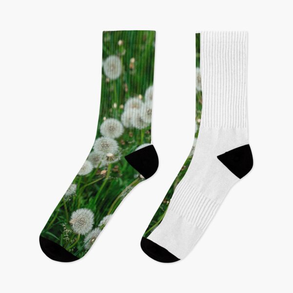Item preview, Fluffy dandelions in field designed and sold by olena2552.