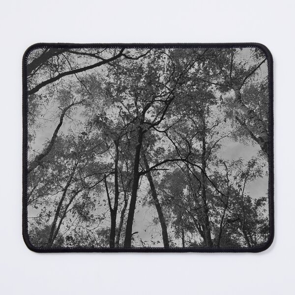 Item preview, Trees from below designed and sold by IvanAtila.
