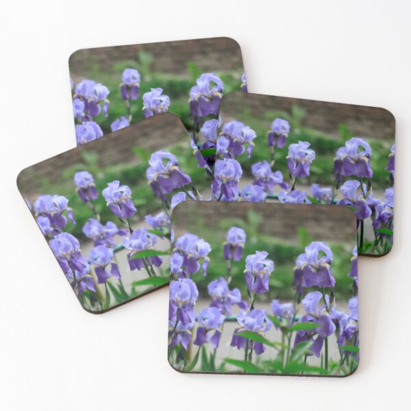 Item preview, Many iris in spring garden designed and sold by olena2552.