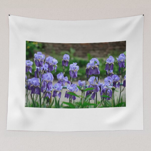 Item preview, Many iris in spring garden designed and sold by olena2552.