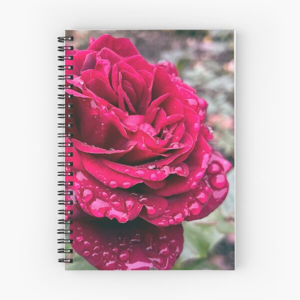 Item preview, Raindrops On Roses designed and sold by YukilapinBN.