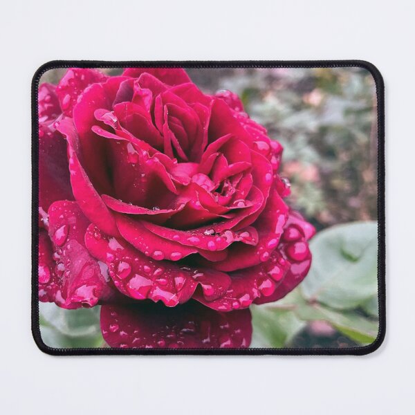 Item preview, Raindrops On Roses designed and sold by YukilapinBN.