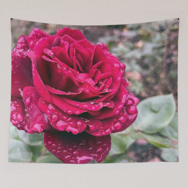 Item preview, Raindrops On Roses designed and sold by YukilapinBN.