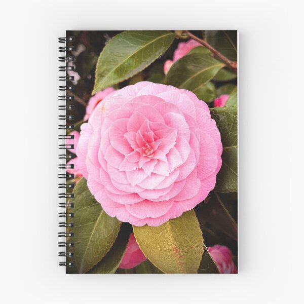 Item preview, Camellia III designed and sold by Cyrus Moth.