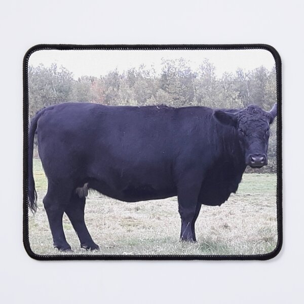 Item preview, Majestic Black Steer designed and sold by PaulineHoward.