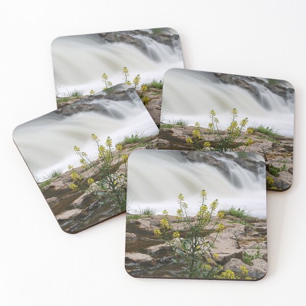 Item preview, Yellow flowers on the rocks. designed and sold by WeatherShot.
