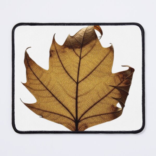 Item preview, Veins of Nature – Dried Leaf Design designed and sold by Cristhian Almanza.