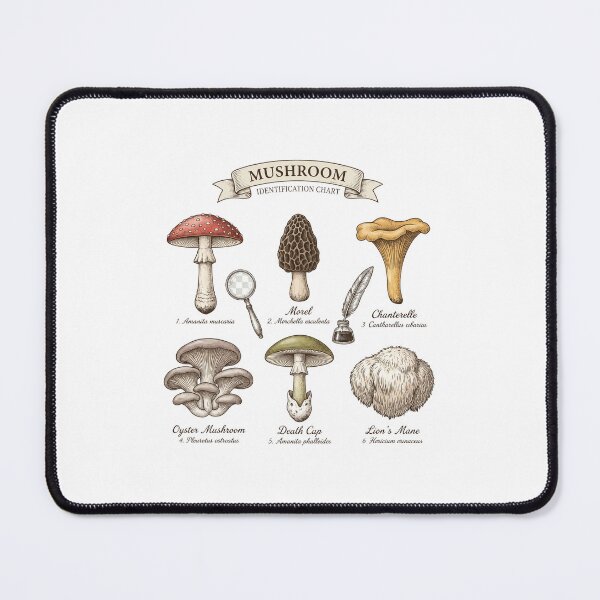 Item preview, Mushroom Identification Chart Vintage Botanical Mycology Forager Tee designed and sold by afarkar.