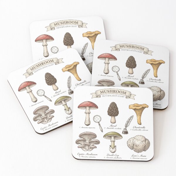Item preview, Mushroom Identification Chart Vintage Botanical Mycology Forager Tee designed and sold by afarkar.