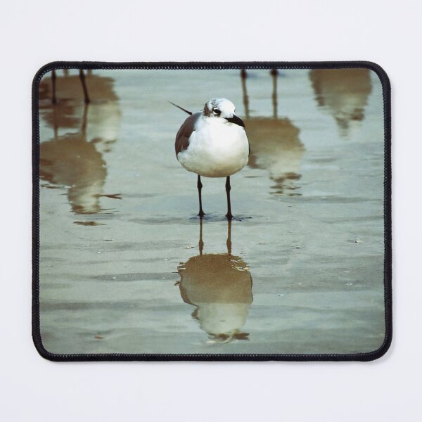 Item preview, Reflections designed and sold by SNAP HAPPY.
