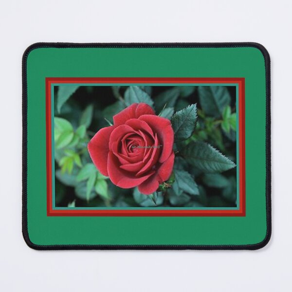 Item preview, Mu’ur (UM) Empire™ al-Benhadiel©™ acquisition, Red Rose, green background designed and sold by HardyKnitDesign.