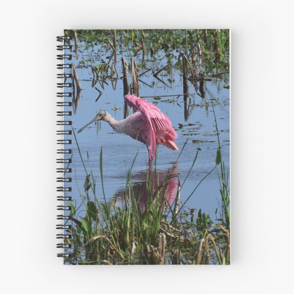 Item preview, Roseate Spoonbill designed and sold by SeaChelly .