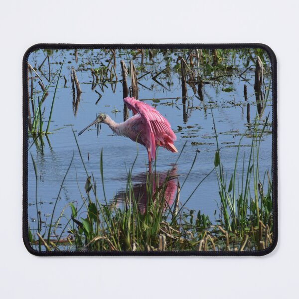 Item preview, Roseate Spoonbill designed and sold by SeaChelly .