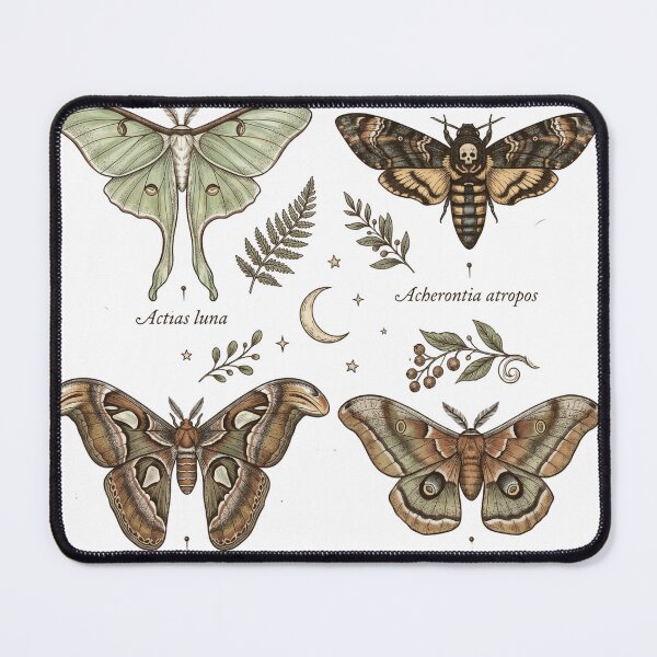 Item preview, Moth Collection Vintage Entomology Dark Cottagecore Witchy Specimen Tee designed and sold by afarkar.