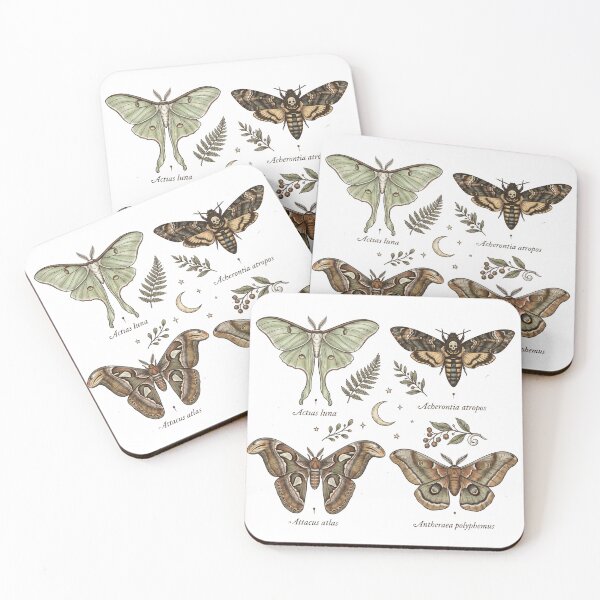 Item preview, Moth Collection Vintage Entomology Dark Cottagecore Witchy Specimen Tee designed and sold by afarkar.
