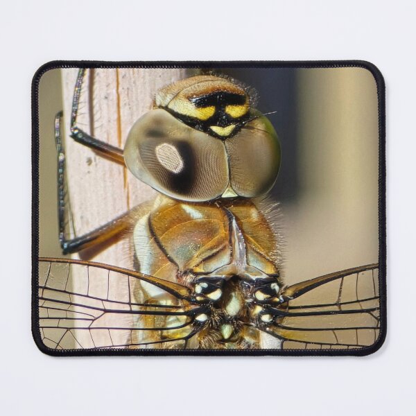 Item preview, The Visitor designed and sold by ShroomyInHere.