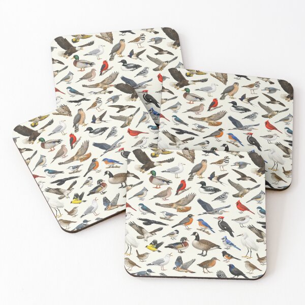 Item preview, Native Birds of New York State Ornithology Chart designed and sold by kakarikihill.