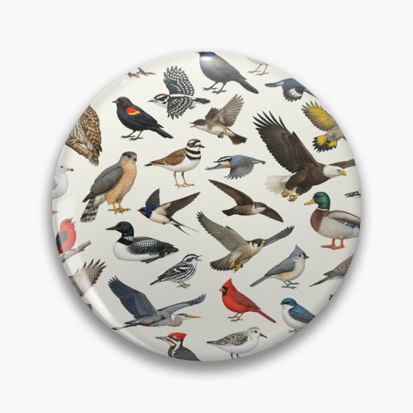Item preview, Native Birds of New York State Ornithology Chart designed and sold by kakarikihill.