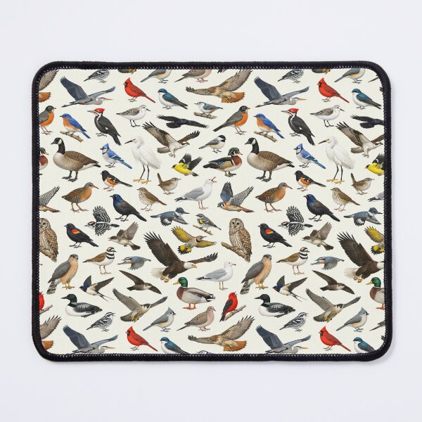 Item preview, Native Birds of New York State Ornithology Chart designed and sold by kakarikihill.