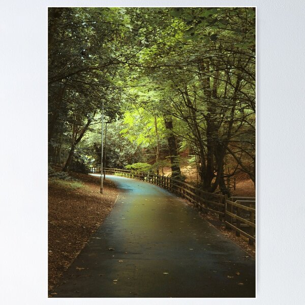 Item preview, Green shade - path through the trees designed and sold by Agnes McGuinness.