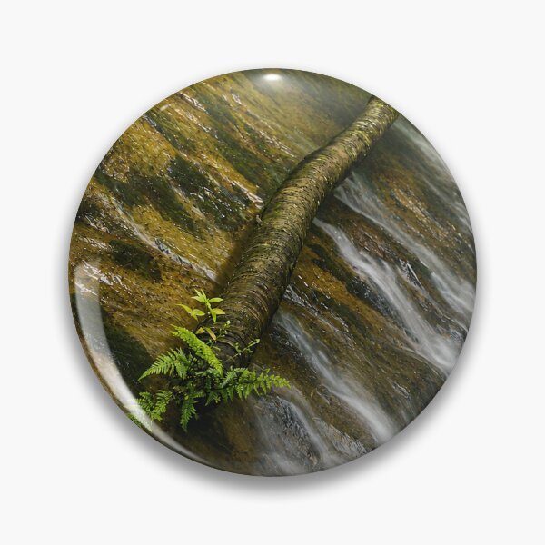 Item preview, The Sabana River with Fallen Tree and Ferns - framed/enhanced ChatGTP images designed and sold by www.elyunqueprints.store.