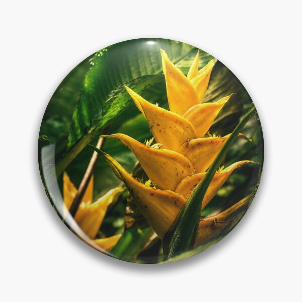 Item preview, Flowers of the El Yunque Rainforest PR - HELICONIAS designed and sold by www.elyunqueprints.store.