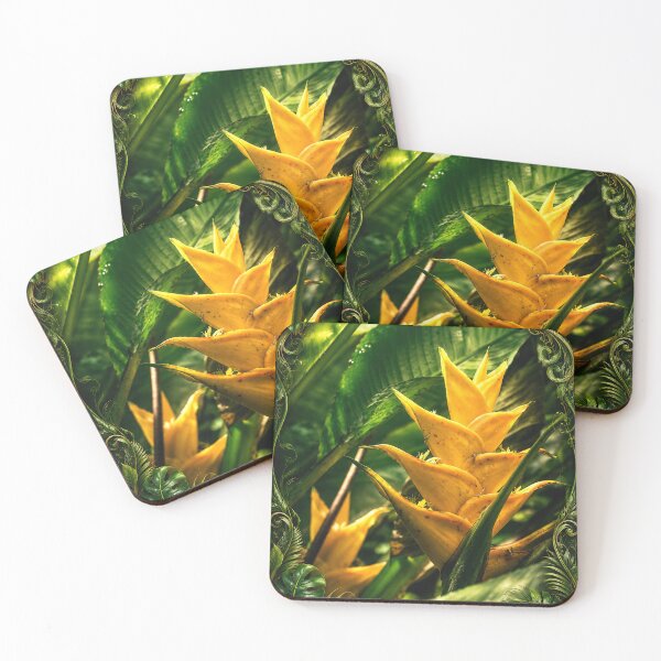 Item preview, Flowers of the El Yunque Rainforest PR - HELICONIAS designed and sold by www.elyunqueprints.store.