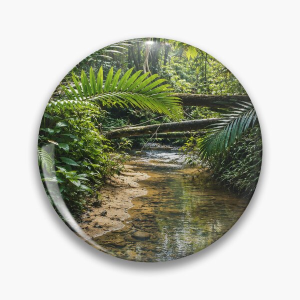 Item preview, Awesome deep forest Tropical Stream - El Yunque Rainforest PR - Framed designed and sold by www.elyunqueprints.store.
