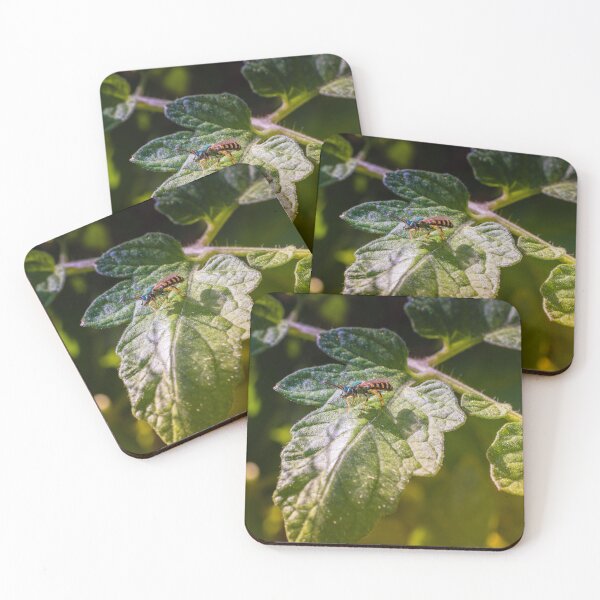 Item preview, A Close, Intimate Garden Moment: A Small, Wasp?Like Insect Perches On The Broad, Slightly Crinkled Surface Of A Green Leaf. designed and sold by Shonti.