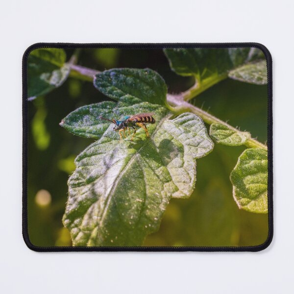 Item preview, A Close, Intimate Garden Moment: A Small, Wasp?Like Insect Perches On The Broad, Slightly Crinkled Surface Of A Green Leaf. designed and sold by Shonti.