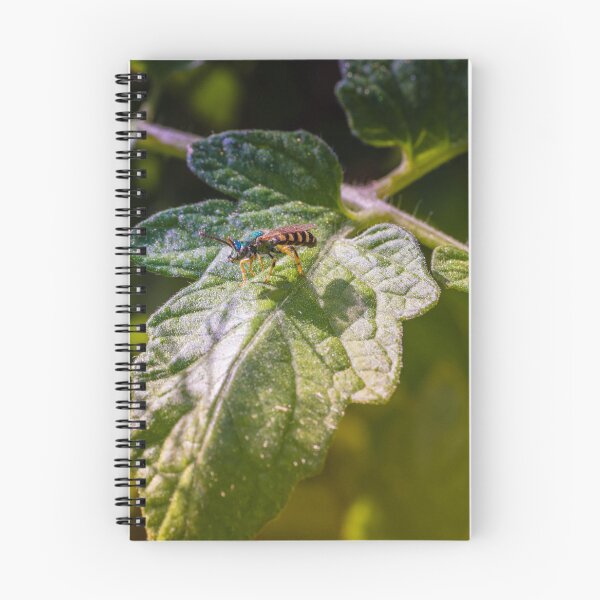 Item preview, A Close, Intimate Garden Moment: A Small, Wasp?Like Insect Perches On The Broad, Slightly Crinkled Surface Of A Green Leaf. designed and sold by Shonti.