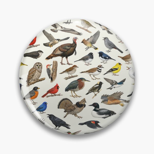 Item preview, Native Birds of Pennsylvania State Ornithology Chart designed and sold by kakarikihill.