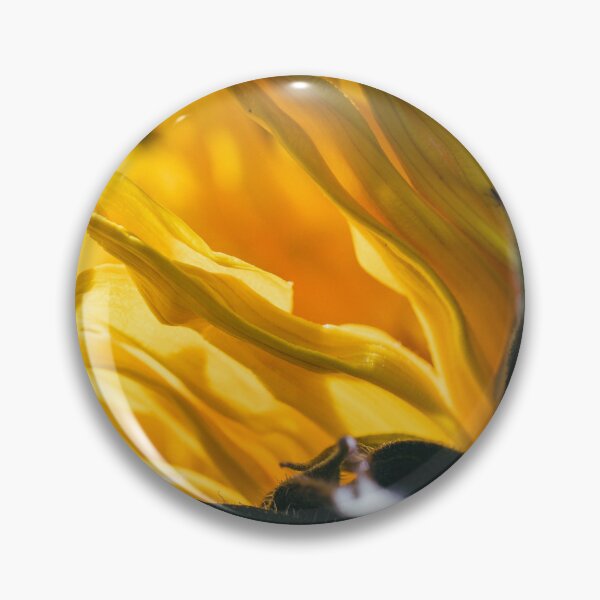 Item preview, A Tight, Intimate Close-Up Of A Yellow Sunflower As It's Blossom Fills The Frame designed and sold by Shonti.