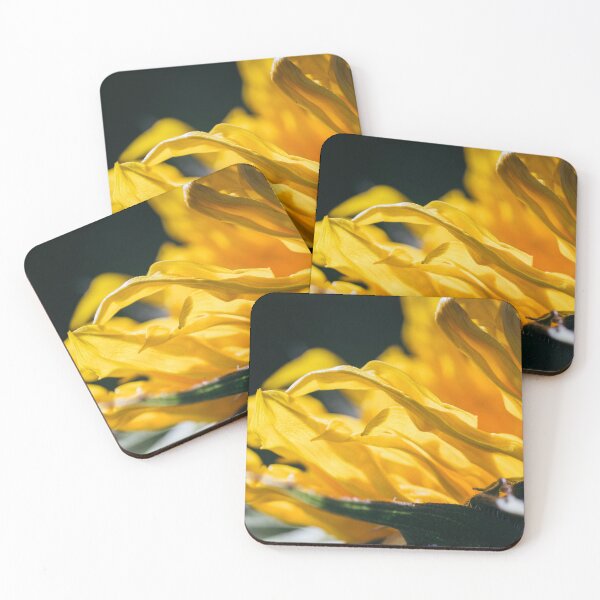 Item preview, A Tight, Intimate Close-Up Of A Yellow Sunflower As It's Blossom Fills The Frame designed and sold by Shonti.