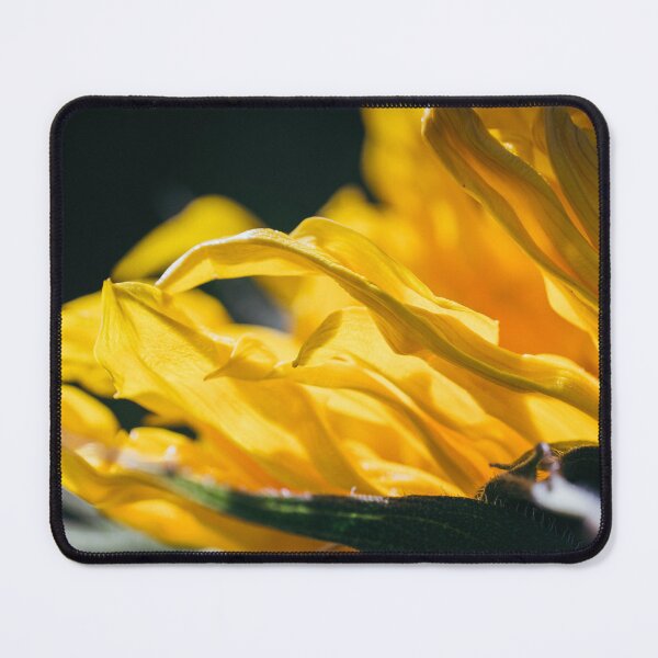 Item preview, A Tight, Intimate Close-Up Of A Yellow Sunflower As It's Blossom Fills The Frame designed and sold by Shonti.