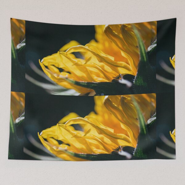 Item preview, A Tight, Intimate Close-Up Of A Yellow Sunflower As It's Blossom Fills The Frame designed and sold by Shonti.