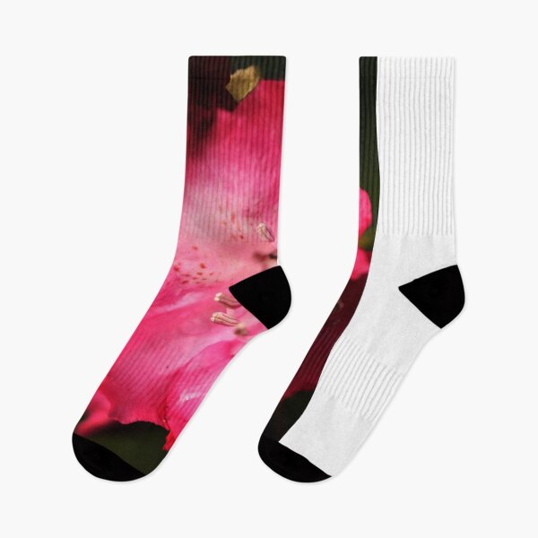 Item preview, Pink Bloom Botanical Photography designed and sold by SilentBloomLab.