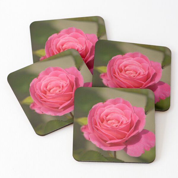 Aperçu de l'œuvre Soft Pink Rose Fine Art Print créée et vendue par SilentBloomLab.