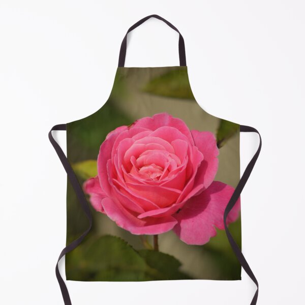 Aperçu de l'œuvre Soft Pink Rose Fine Art Print créée et vendue par SilentBloomLab.