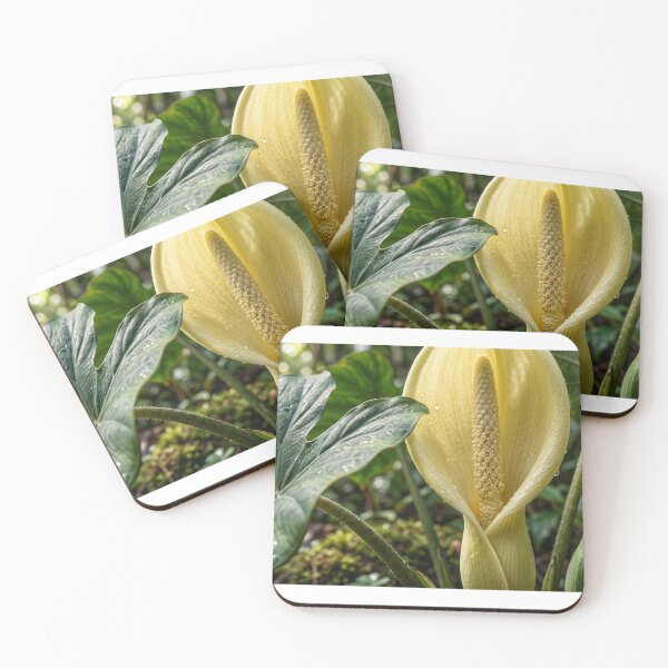 Item preview, Flowering Elephant Ear Plant Close-Up designed and sold by Mindful Heritage.