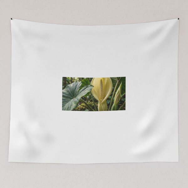 Item preview, Flowering Elephant Ear Plant Close-Up designed and sold by Mindful Heritage.