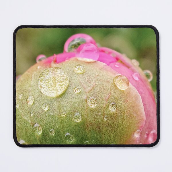 Item preview, Dewdrops Botanical Macro Photography designed and sold by SilentBloomLab.