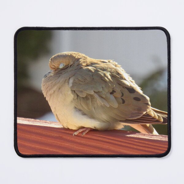 Item preview, Cold bird designed and sold by boat_driver.