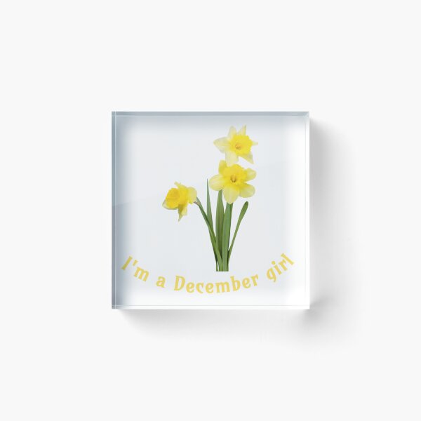 Item preview, December Girl Daffodils  designed and sold by lydia-hannah.