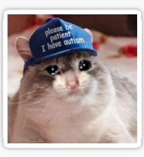 Please Be Patient I Have Autism Cat Sticker