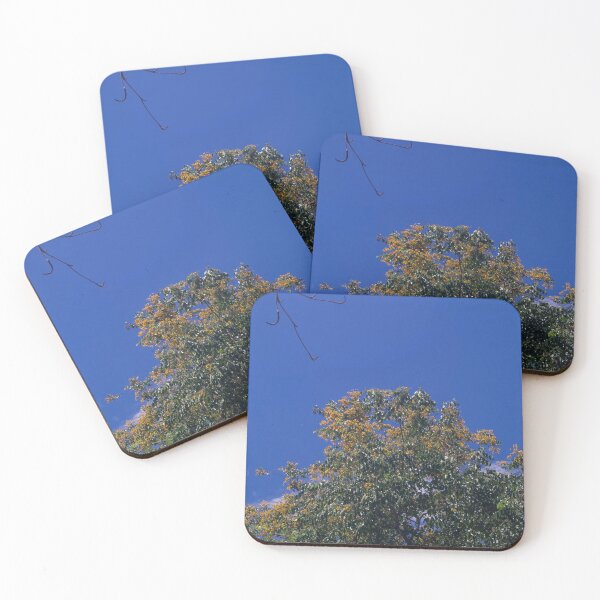 Item preview, Narra Tree designed and sold by ROSE ANN BANILAR.