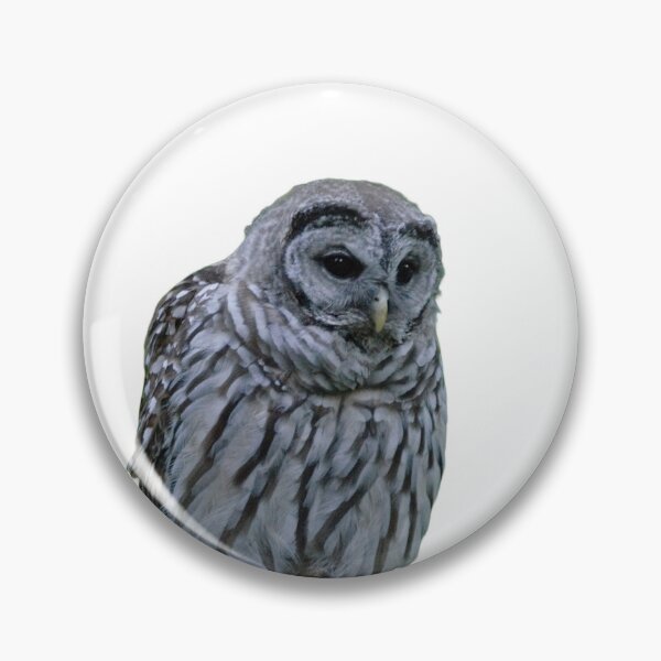 Item preview, Young Barred Owl designed and sold by naturetimes.