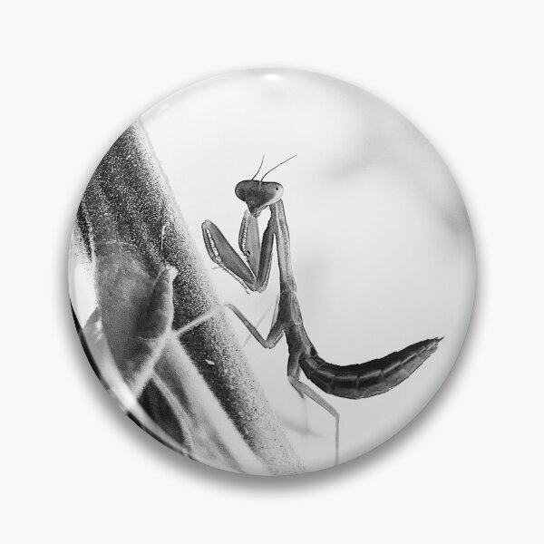 Item preview, Monochrome Mantis - Minimalist Nature Photography designed and sold by sky earth human.