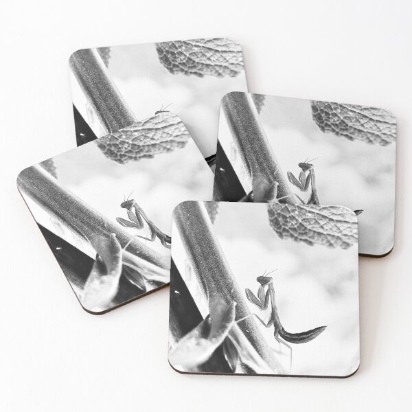 Item preview, Monochrome Mantis - Minimalist Nature Photography designed and sold by sky earth human.